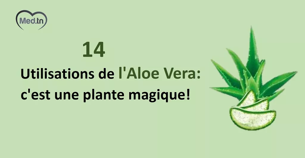 14 Utilisations de l'Aloe Vera qui prouvent que c'est une plante magique